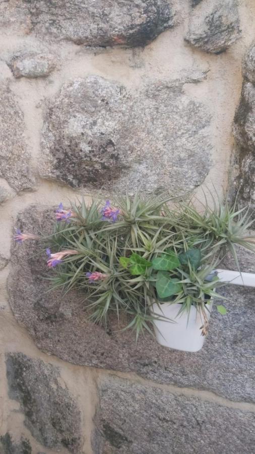 Apartament Vivienda Con Terraza En Playas De Baiona Zewnętrze zdjęcie